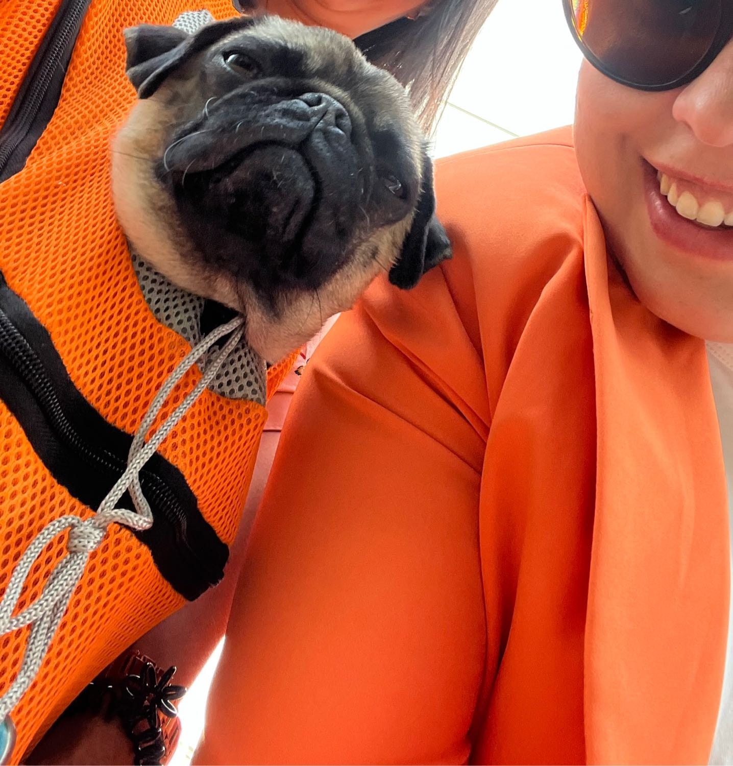 Lucía Pet sitter in County Dublin Pawshake.ie