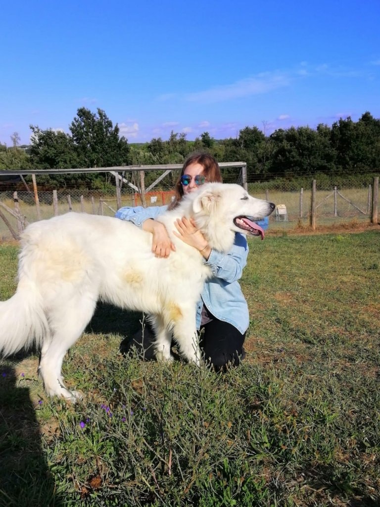 Beatrice Pet sitter in Edinburgh Pawshake.co.uk