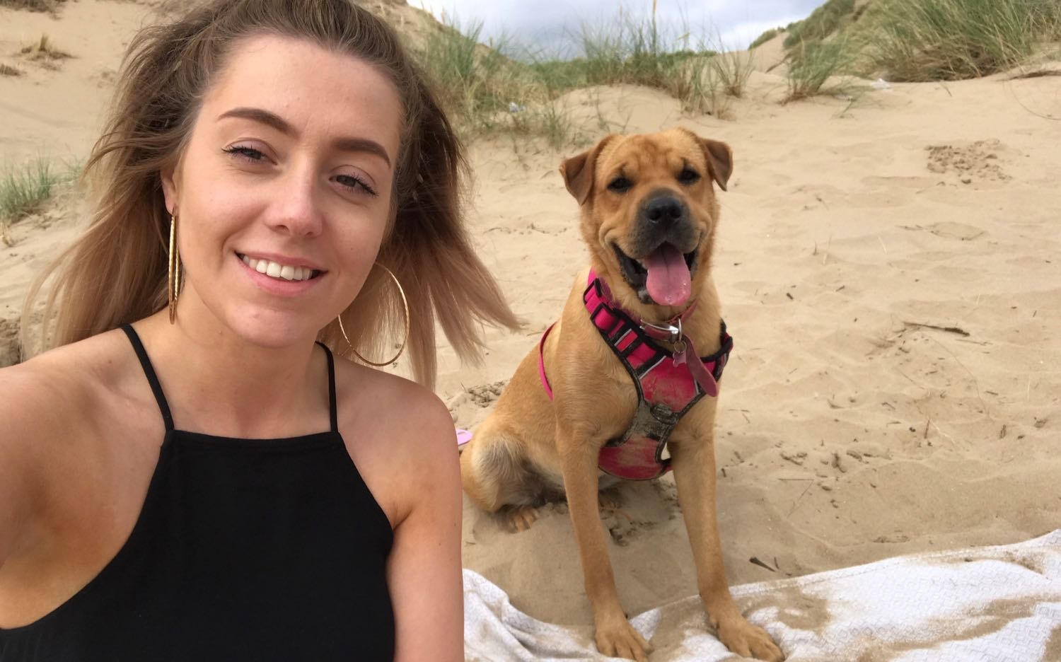 Rachel Pet sitter in Macclesfield Pawshake.co.uk