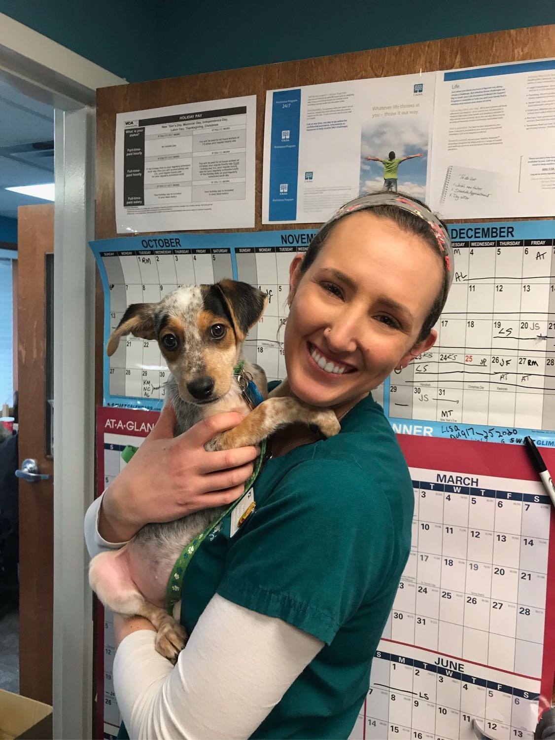 Mekenzie Pet sitter in Clonskeagh Pawshake.ie