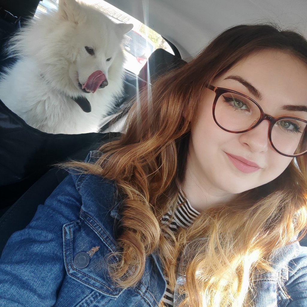 Dog Boarding Birmingham Better than a Dog Kennel or Dog Hotel