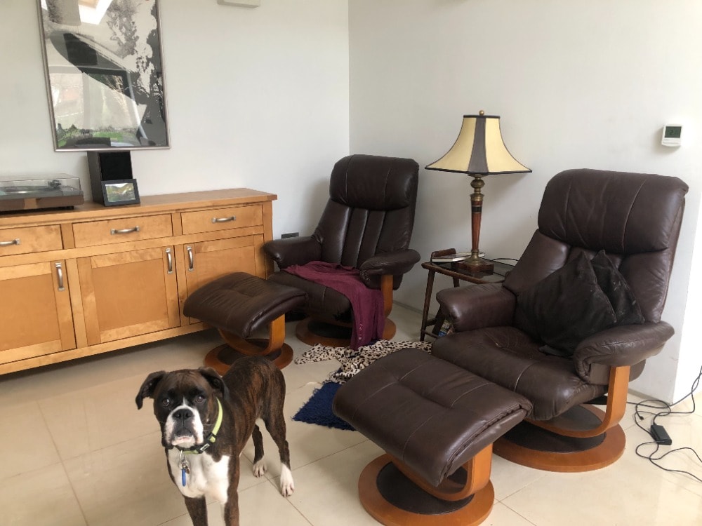 Rosemarie Pet sitter in Heavitree Pawshake.co.uk