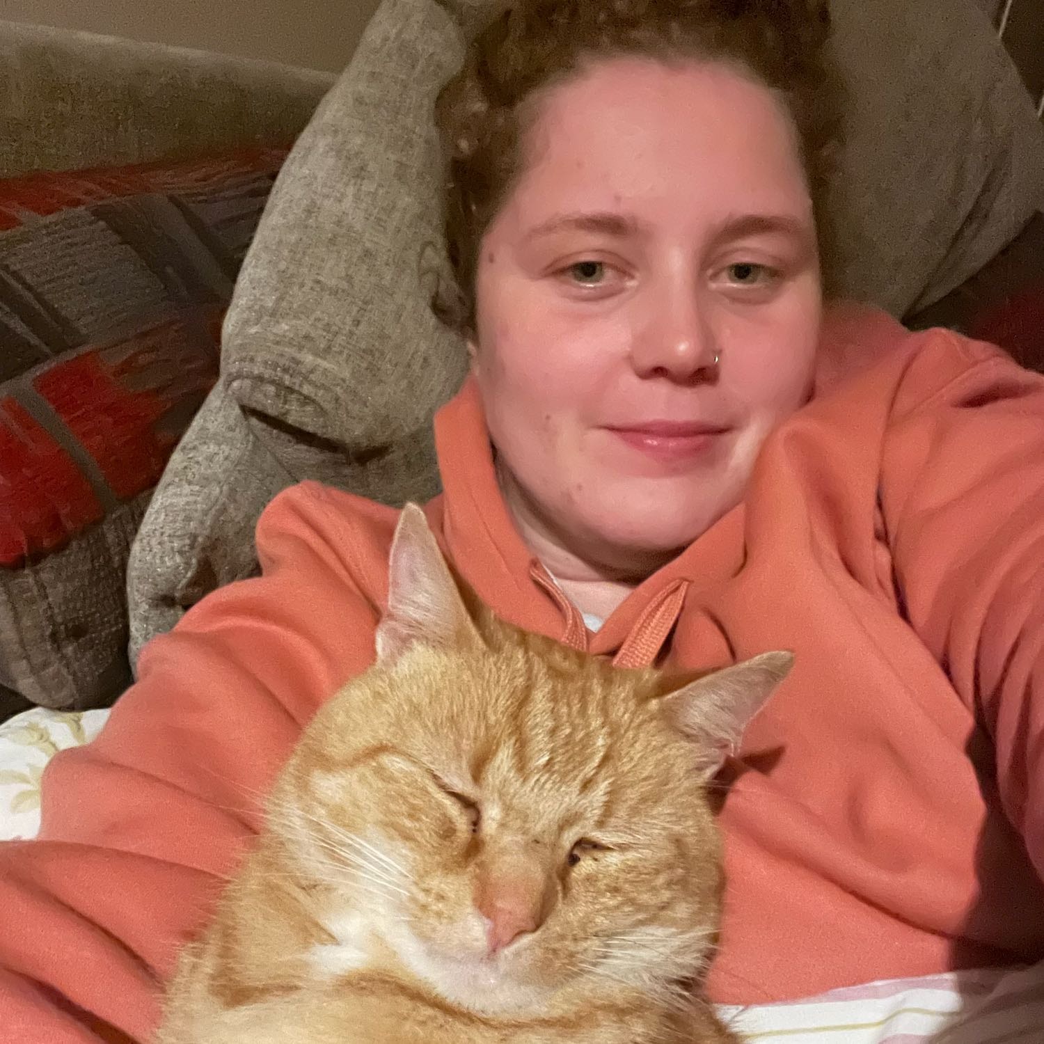 Dog Walking Dublin Local dog walkers Pawshake.ie