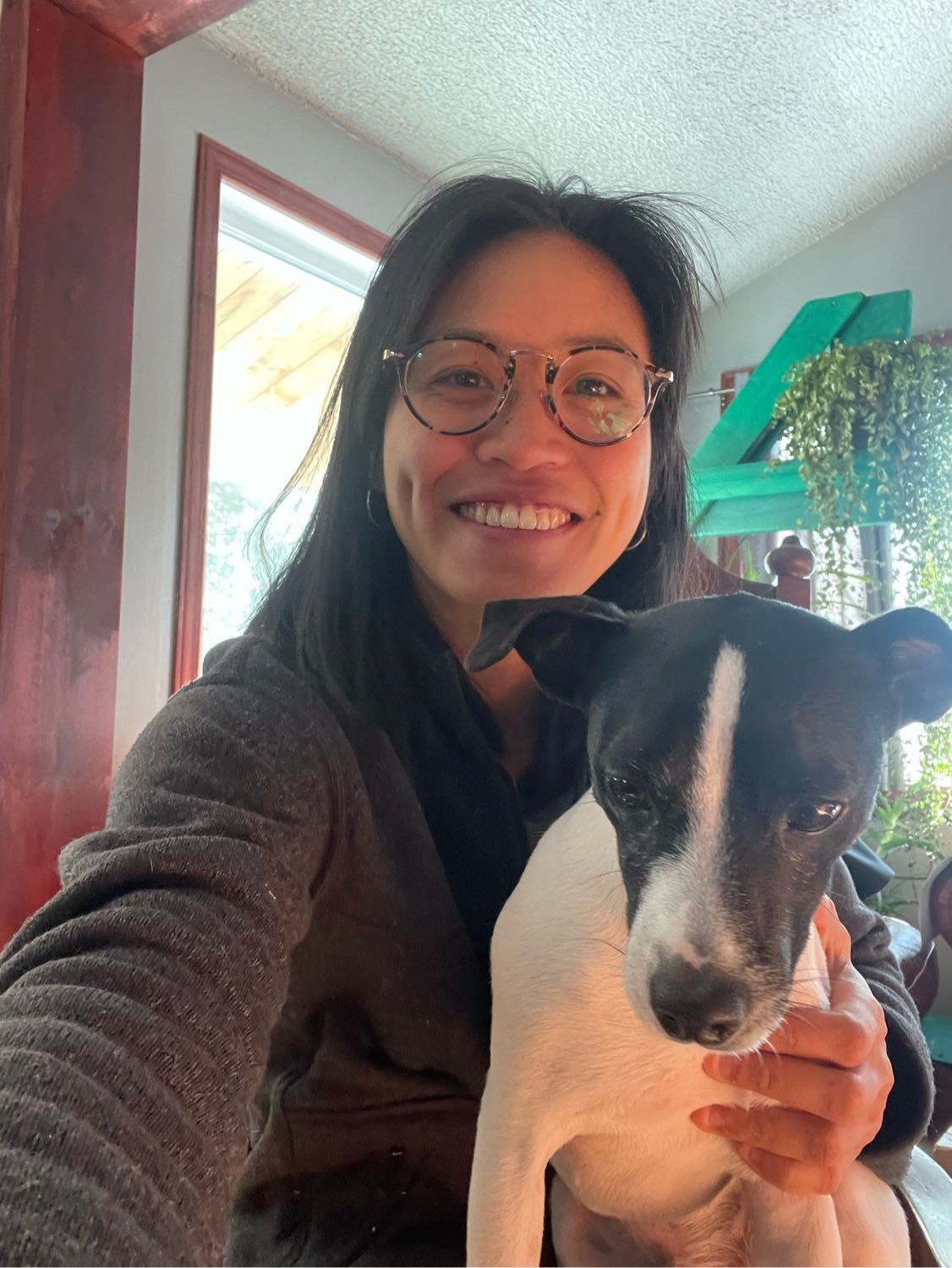 Mathilde | Des gardiens à Quartier Sainte-Marie | Pawshake.ca