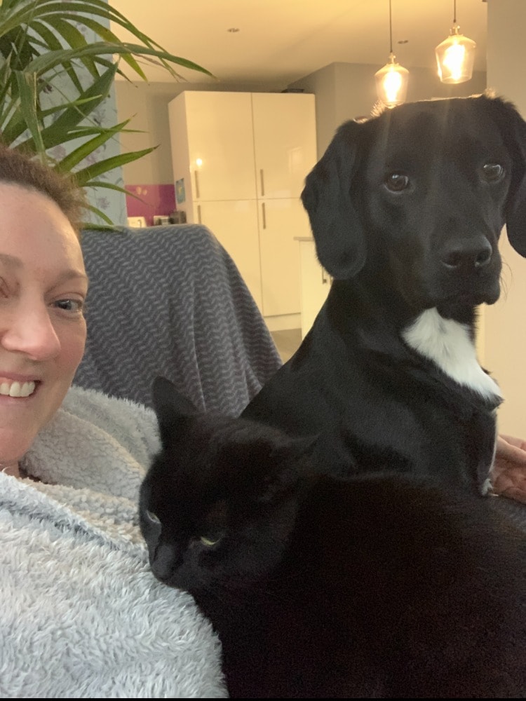 Michelle Pet sitter in East Kilbride Pawshake.co.uk