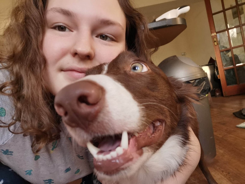 Livi Pet sitter in Cardiff Pawshake.co.uk