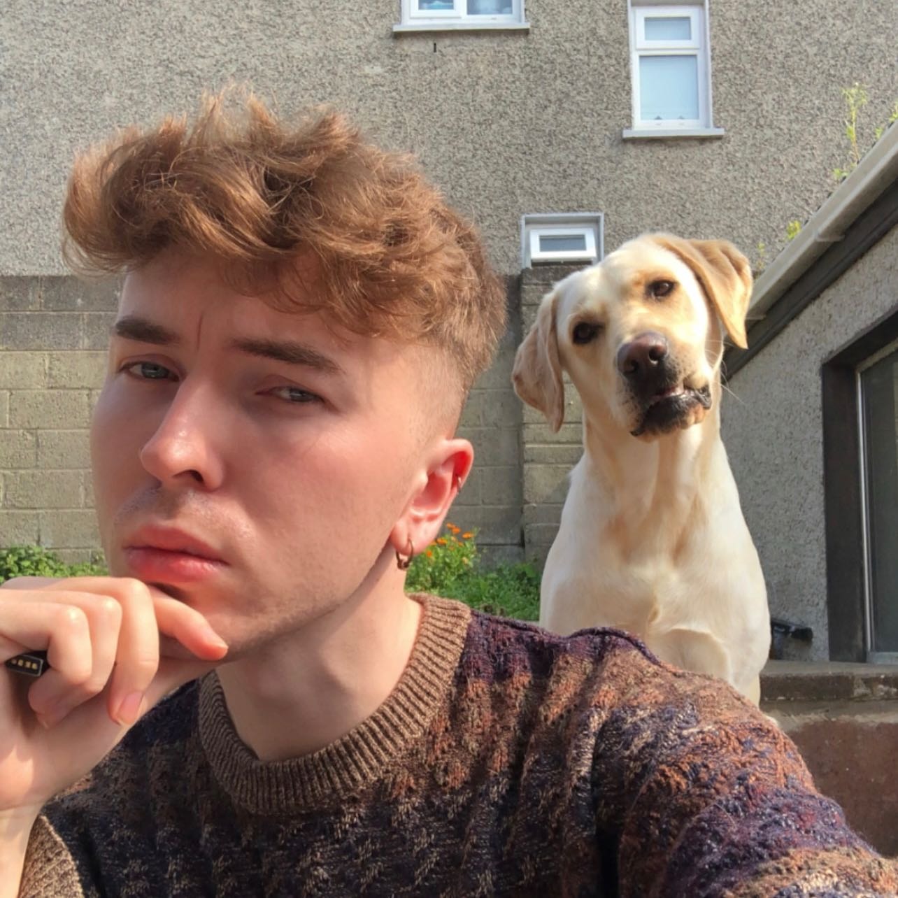 Dog Boarding Dublin Better than a Dog Kennel or Dog Hotel Pawshake.ie