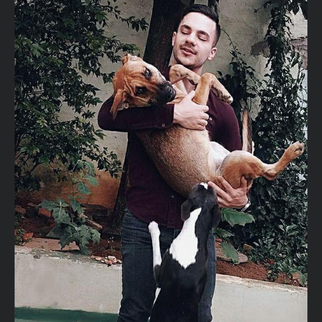 Rafael