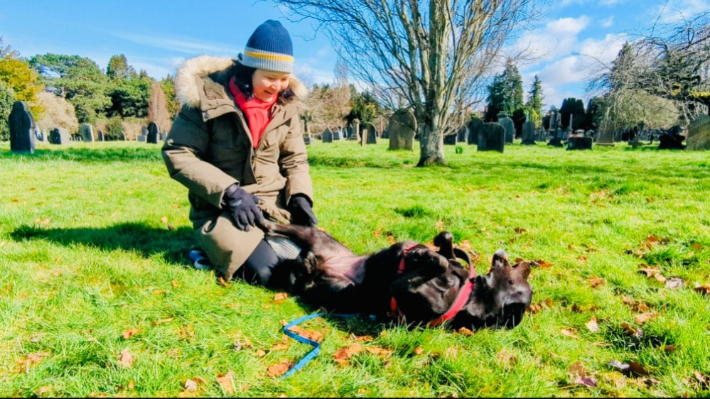 CHI Pet sitter in Cardiff Pawshake.co.uk