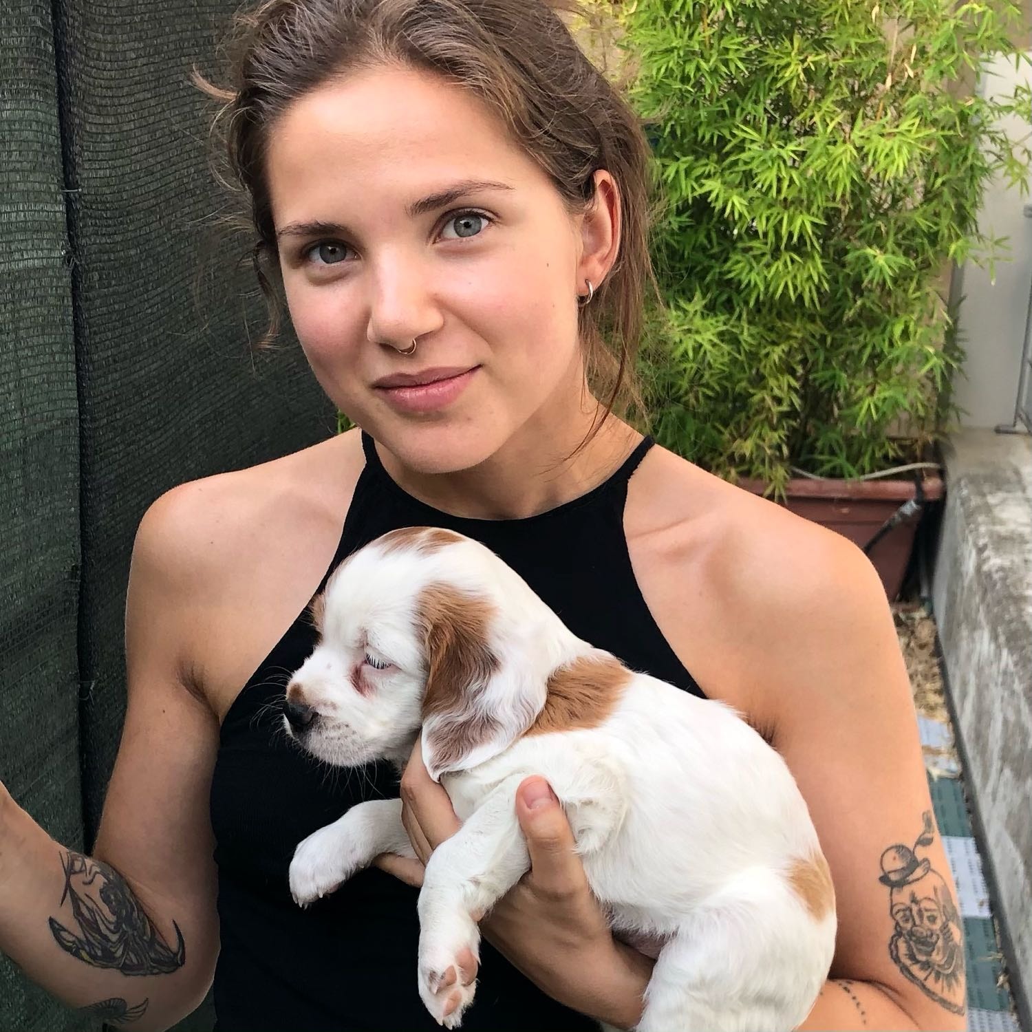 Elisa