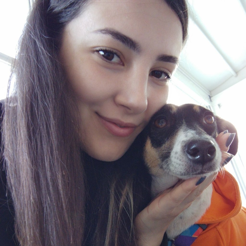 Buse