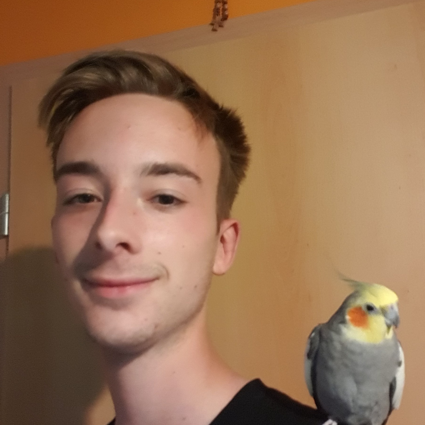 Robbe