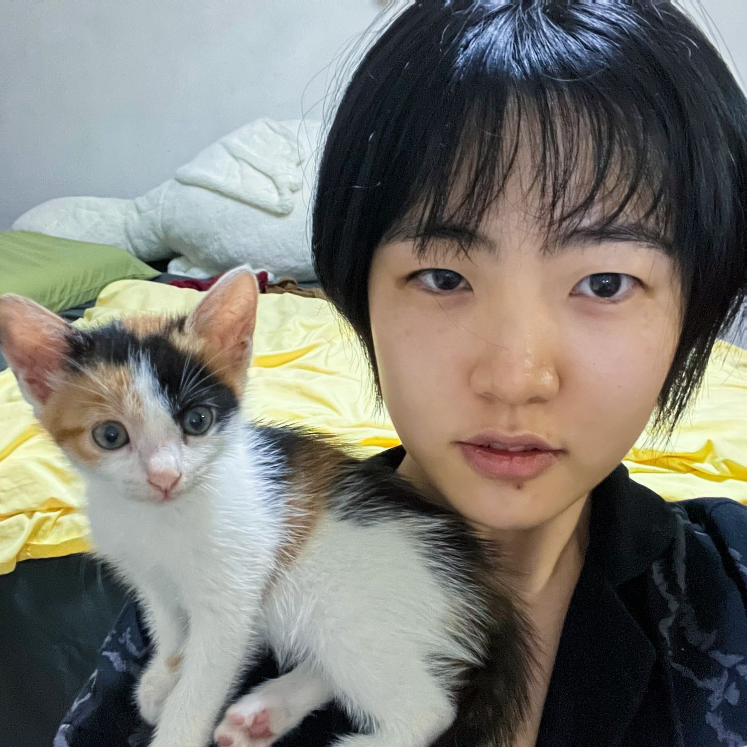 Cici