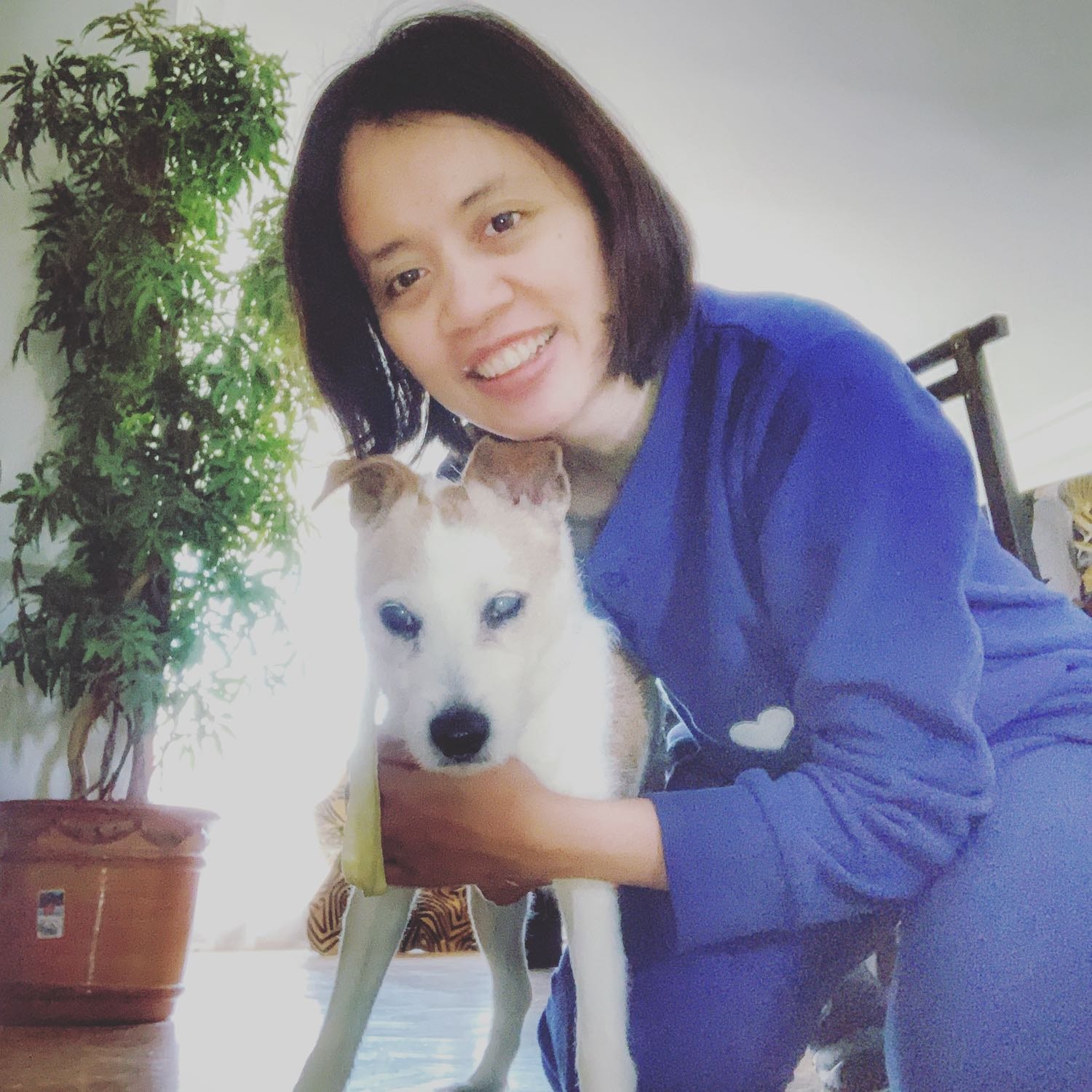 Dina