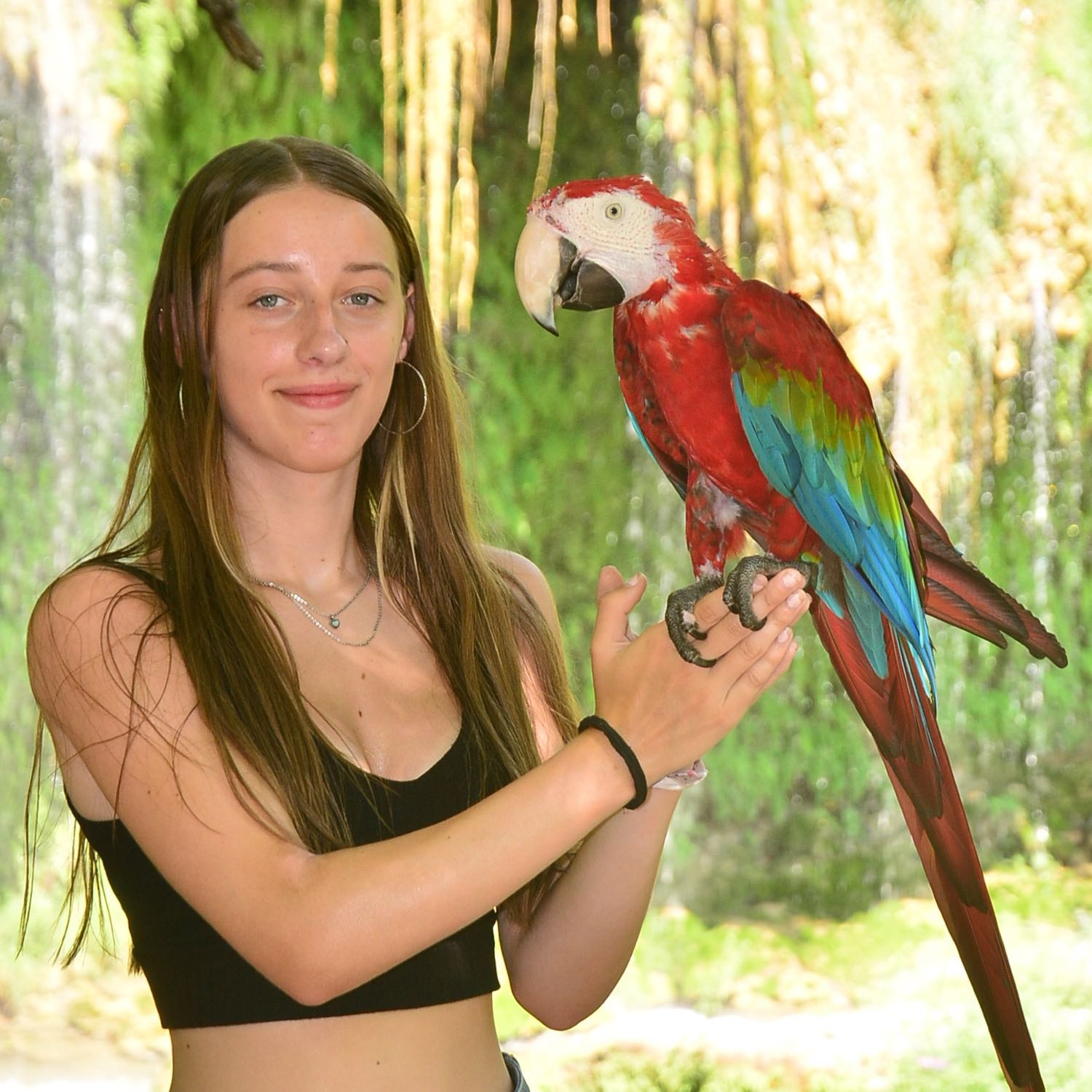 Marissa