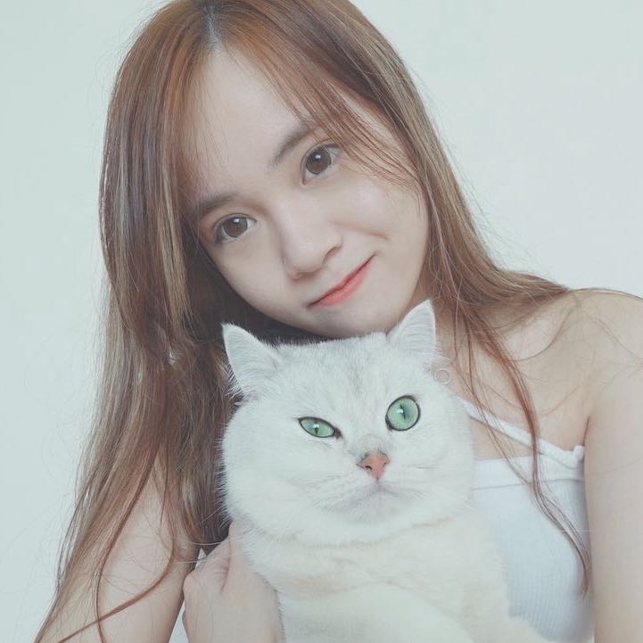 Tsz Hin