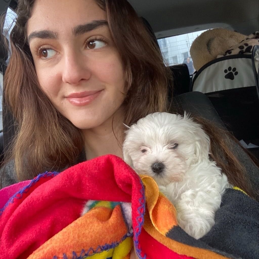 Stella