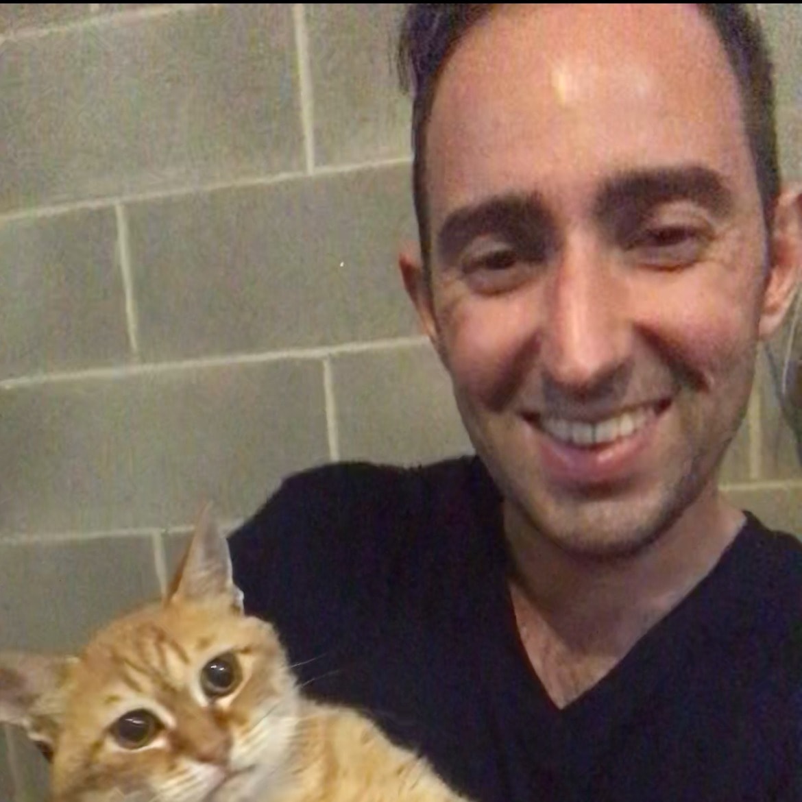 Alessandro