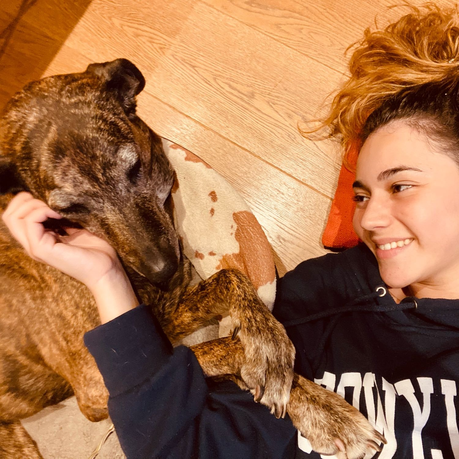 Stella