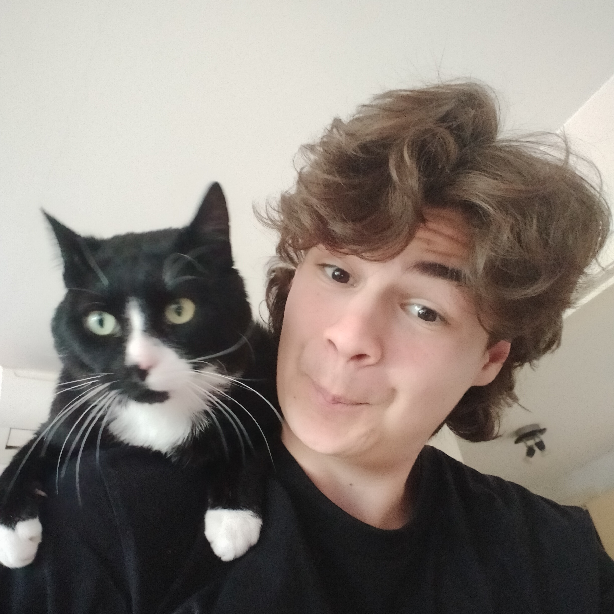 Siebe