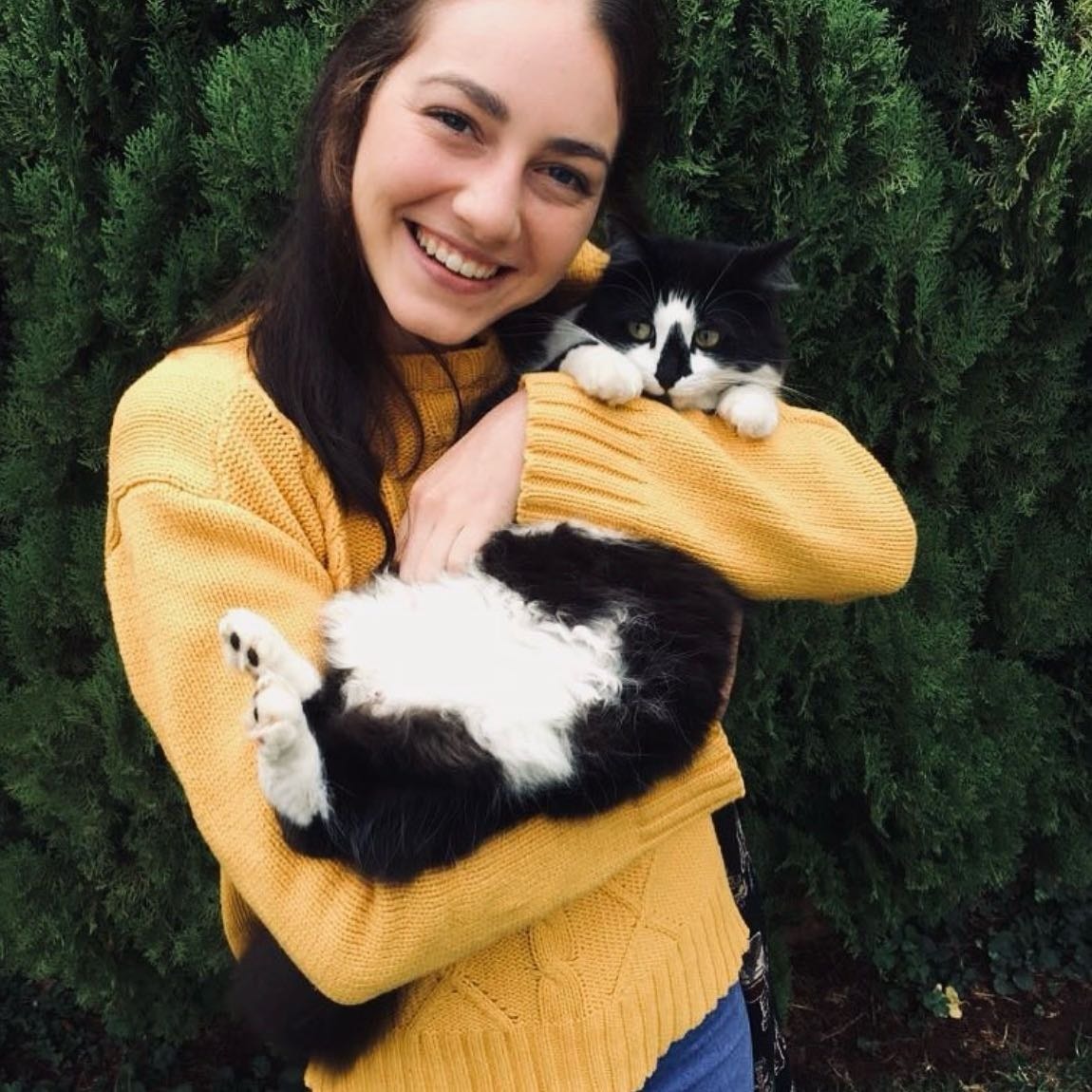 Liné