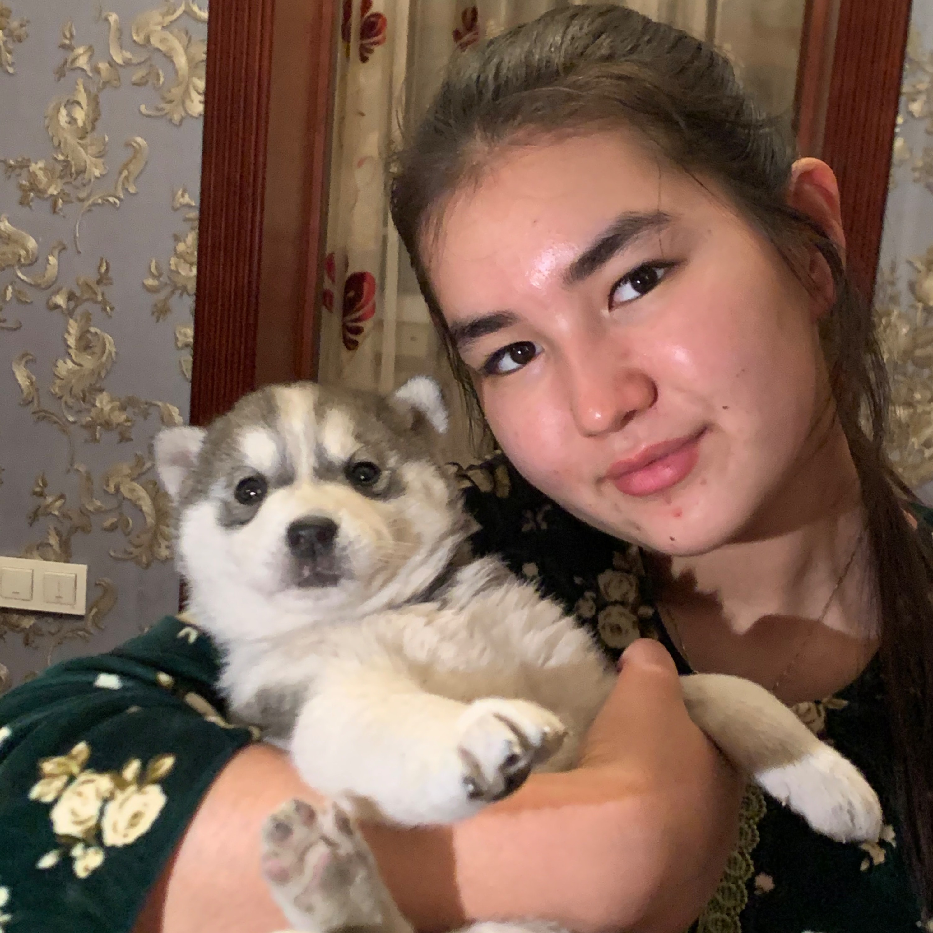 Dinara SW