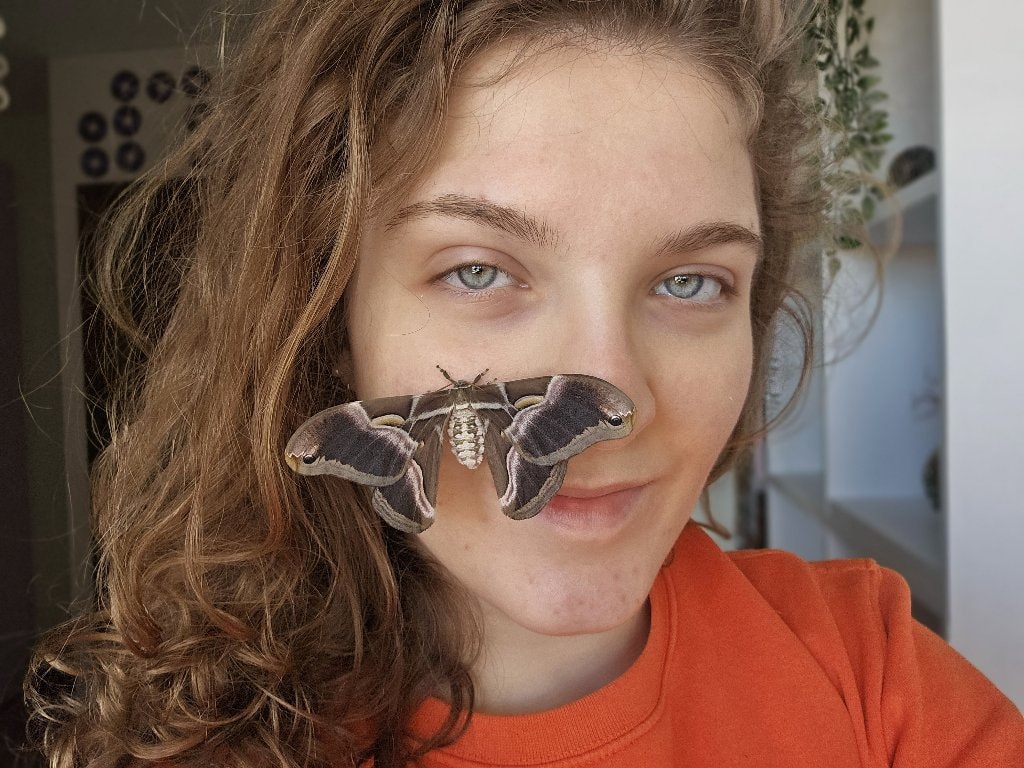 Elisa