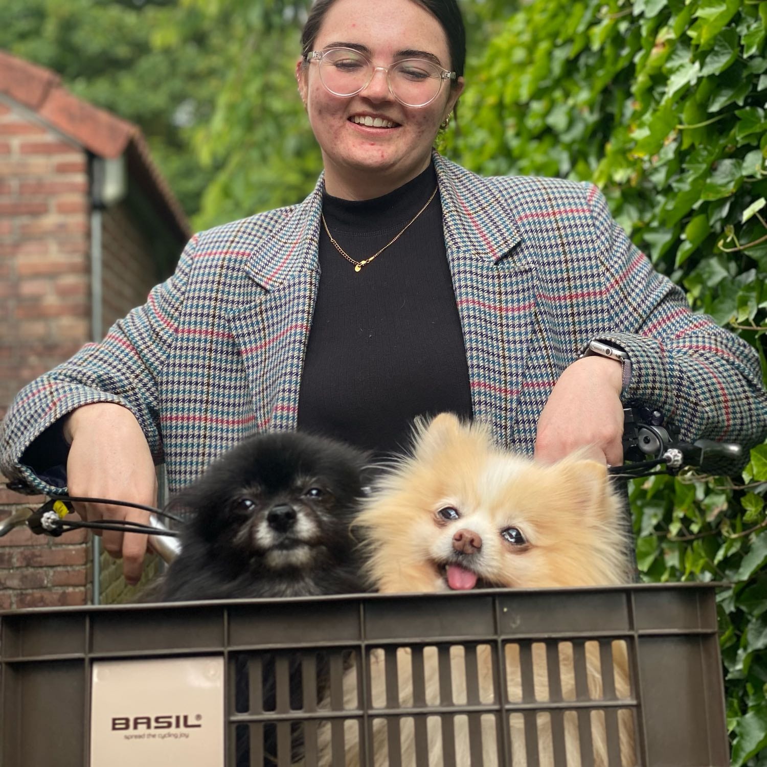 Tammy
