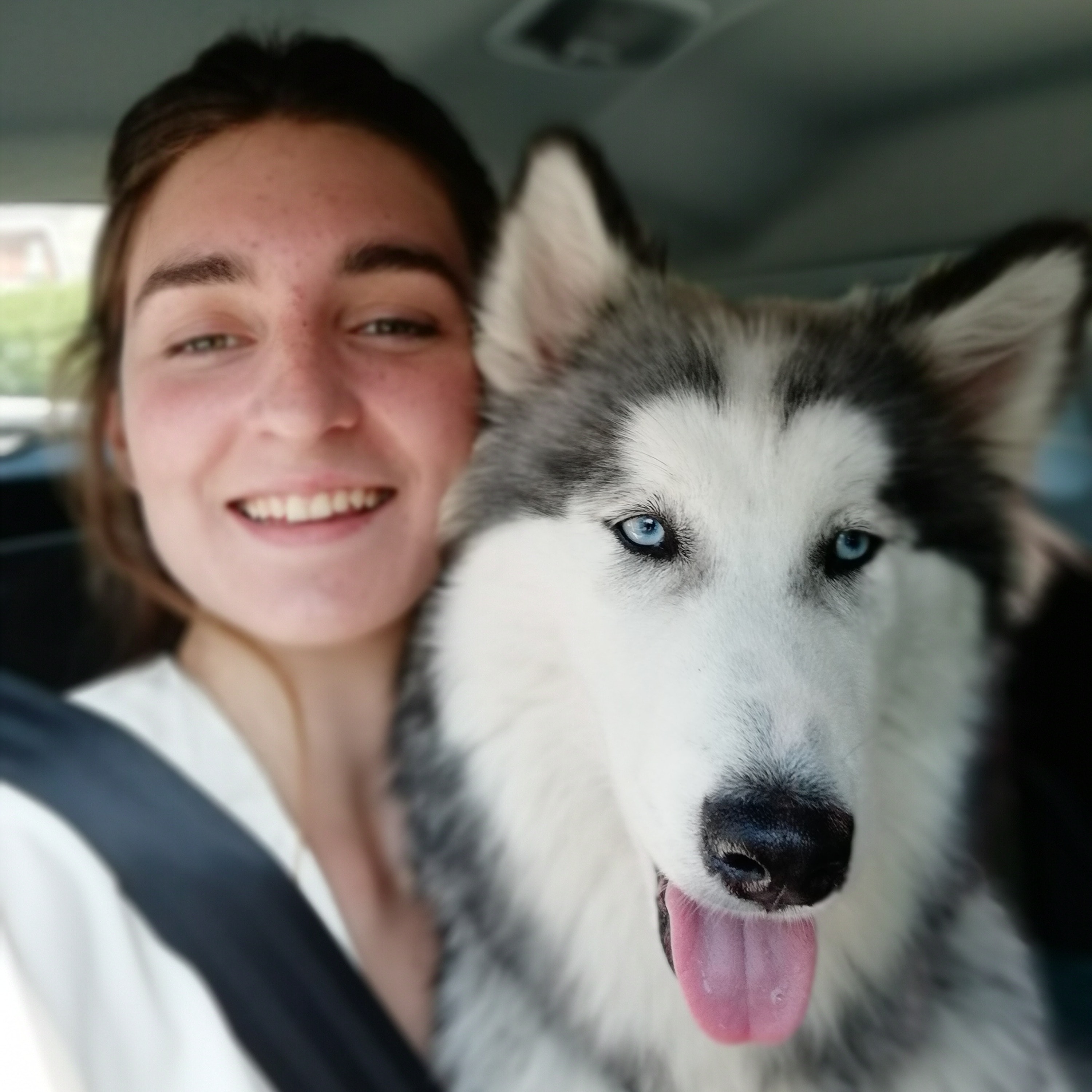 Ilana