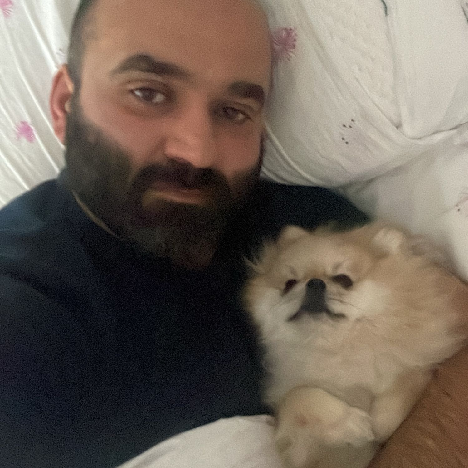 Ali Faiz