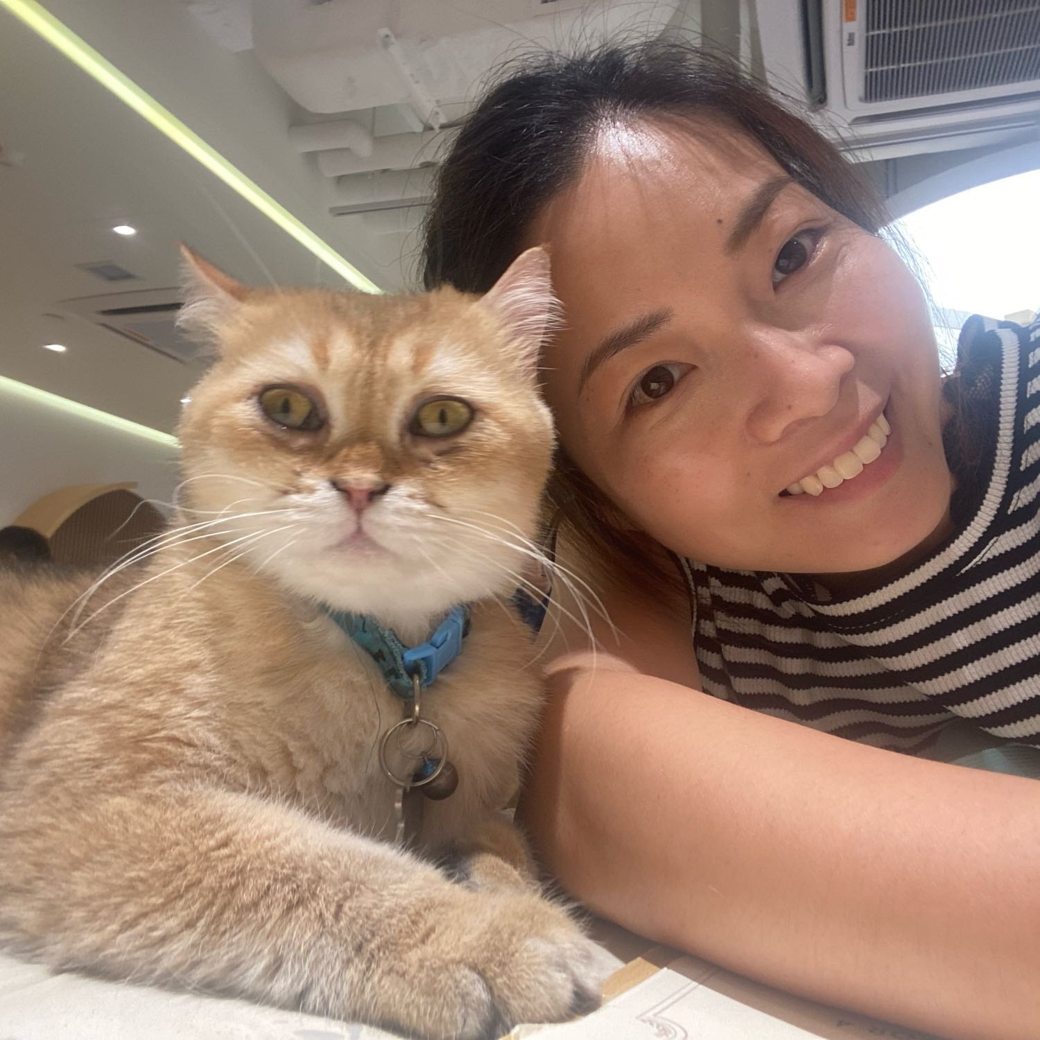 Kitty
