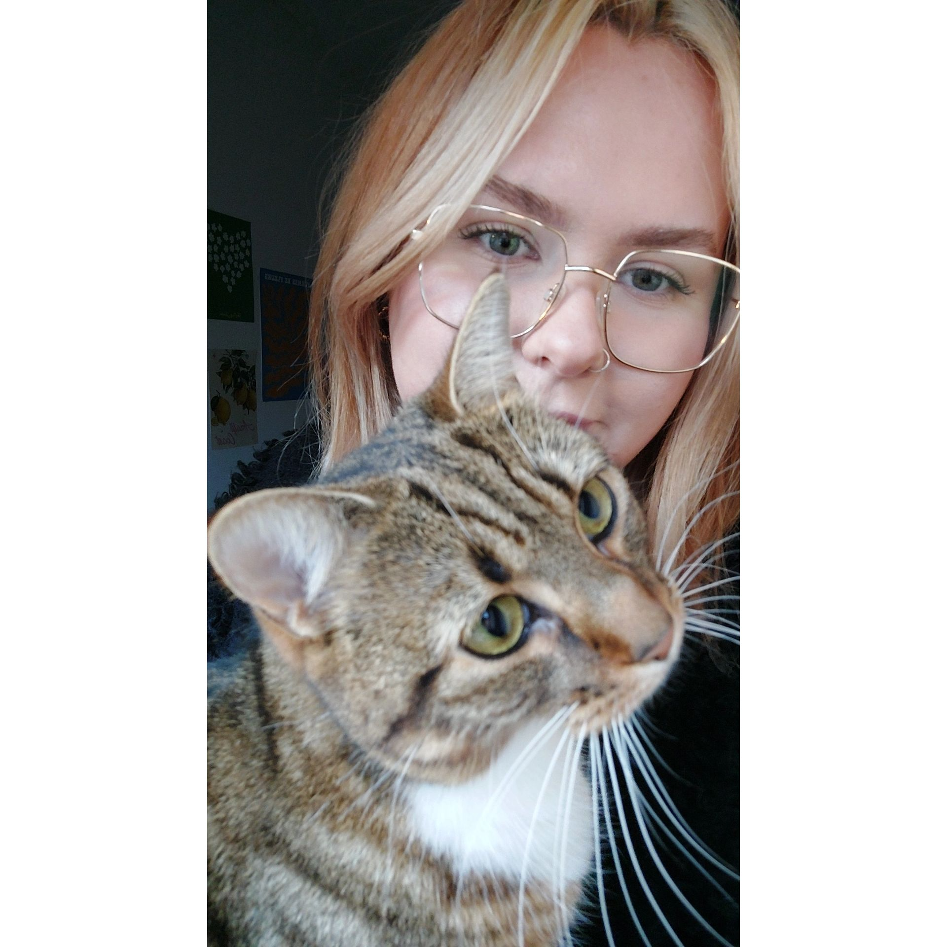 Bek
