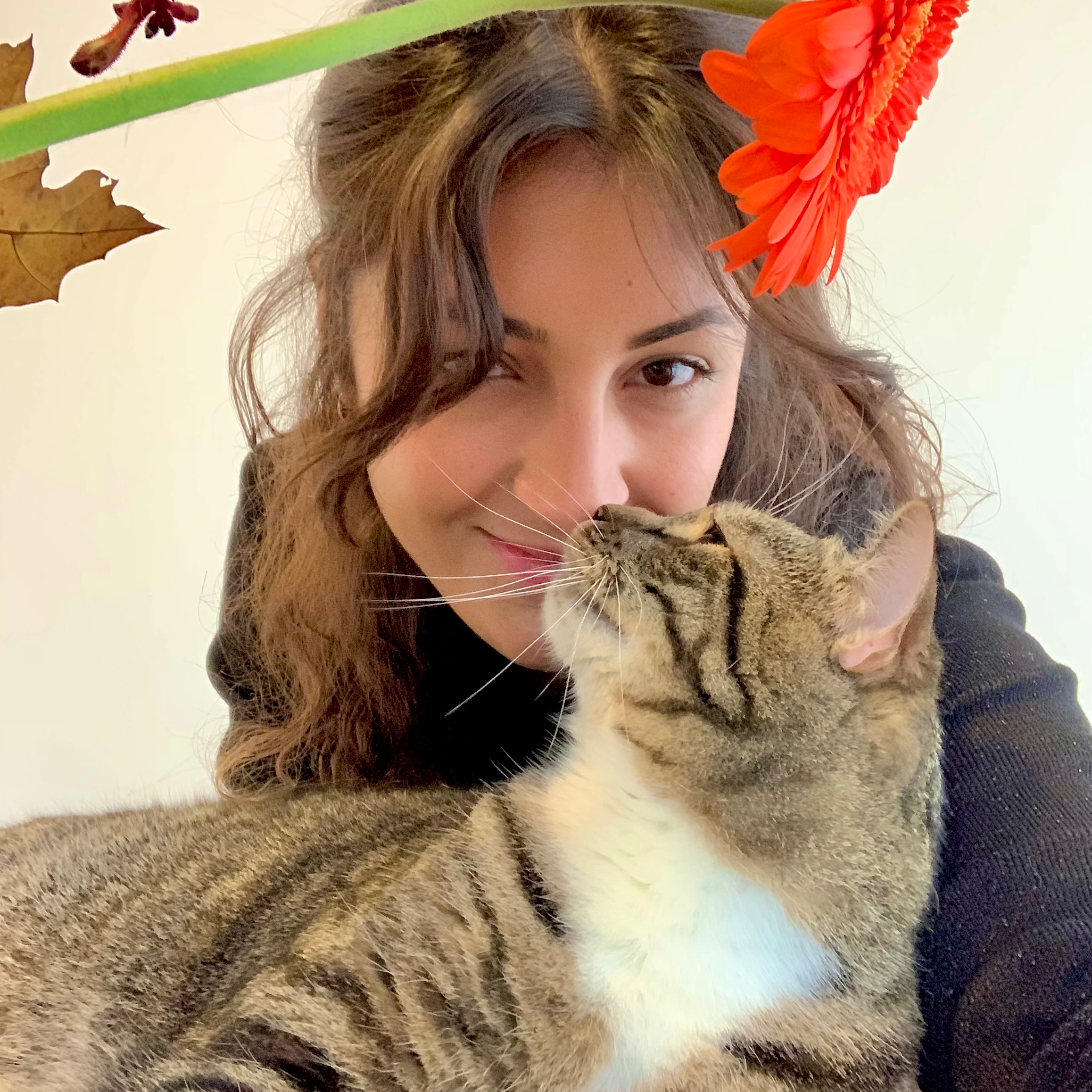 Ale