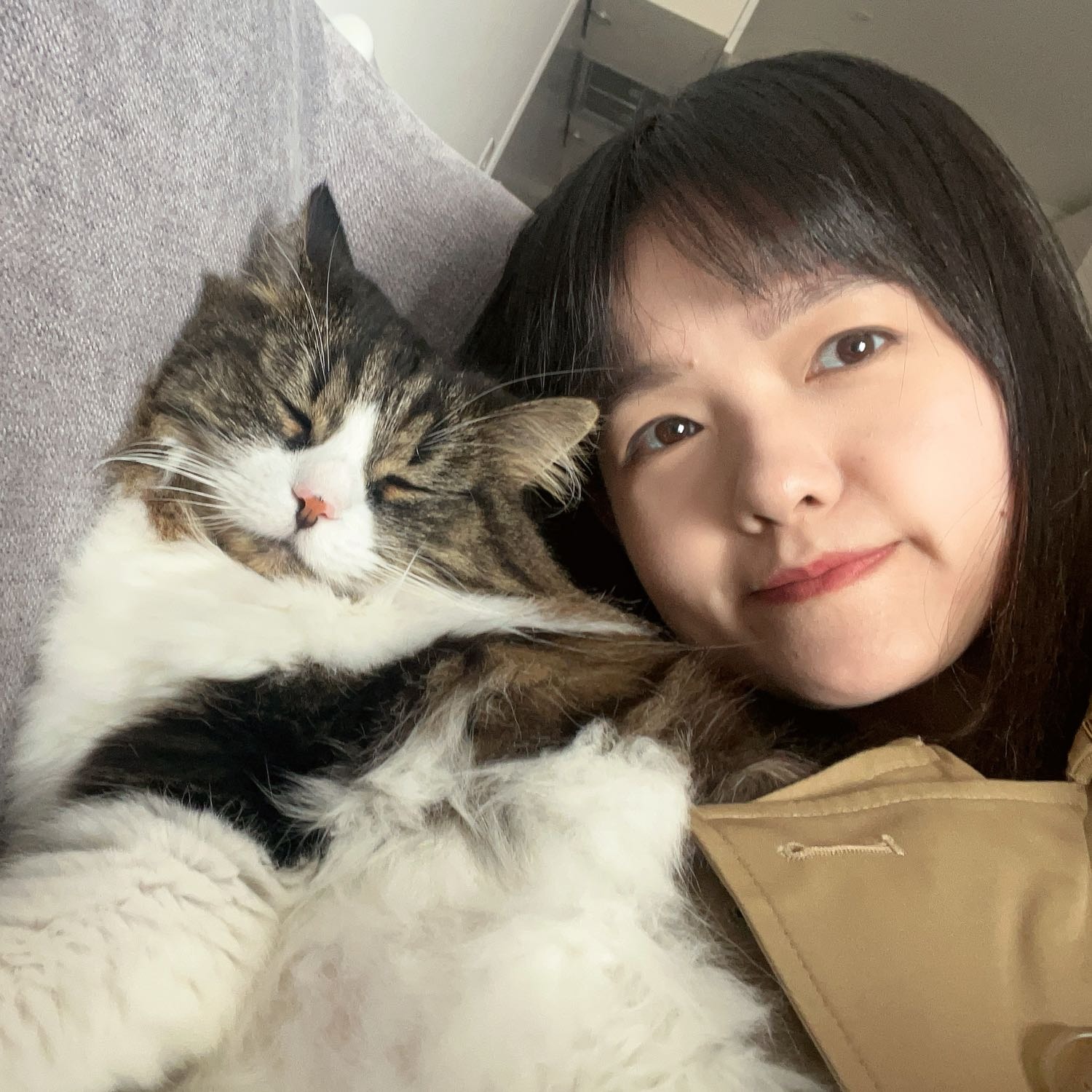 Miya