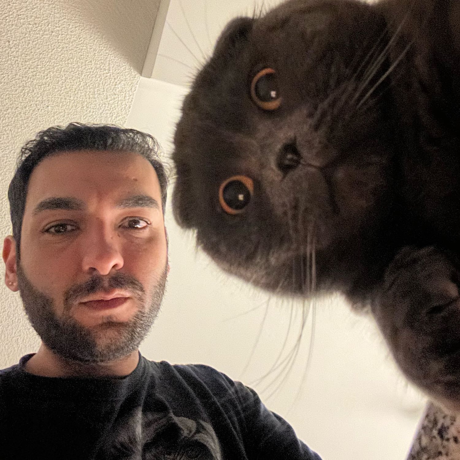 Ali